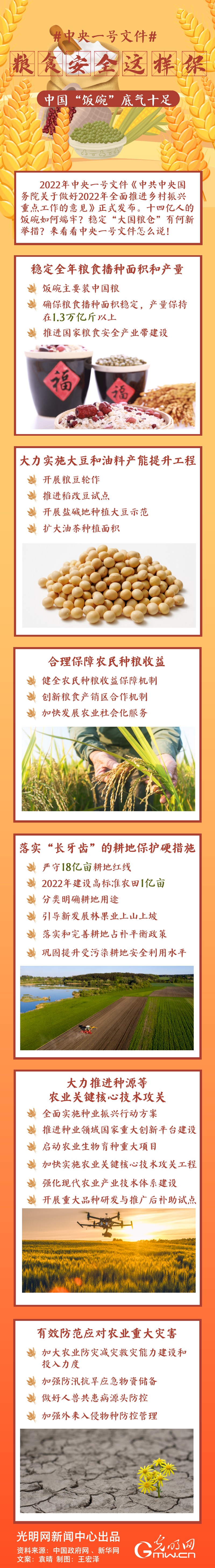 中央一號(hào)文件｜糧食安全這樣保，中國(guó)“飯碗”底氣十足