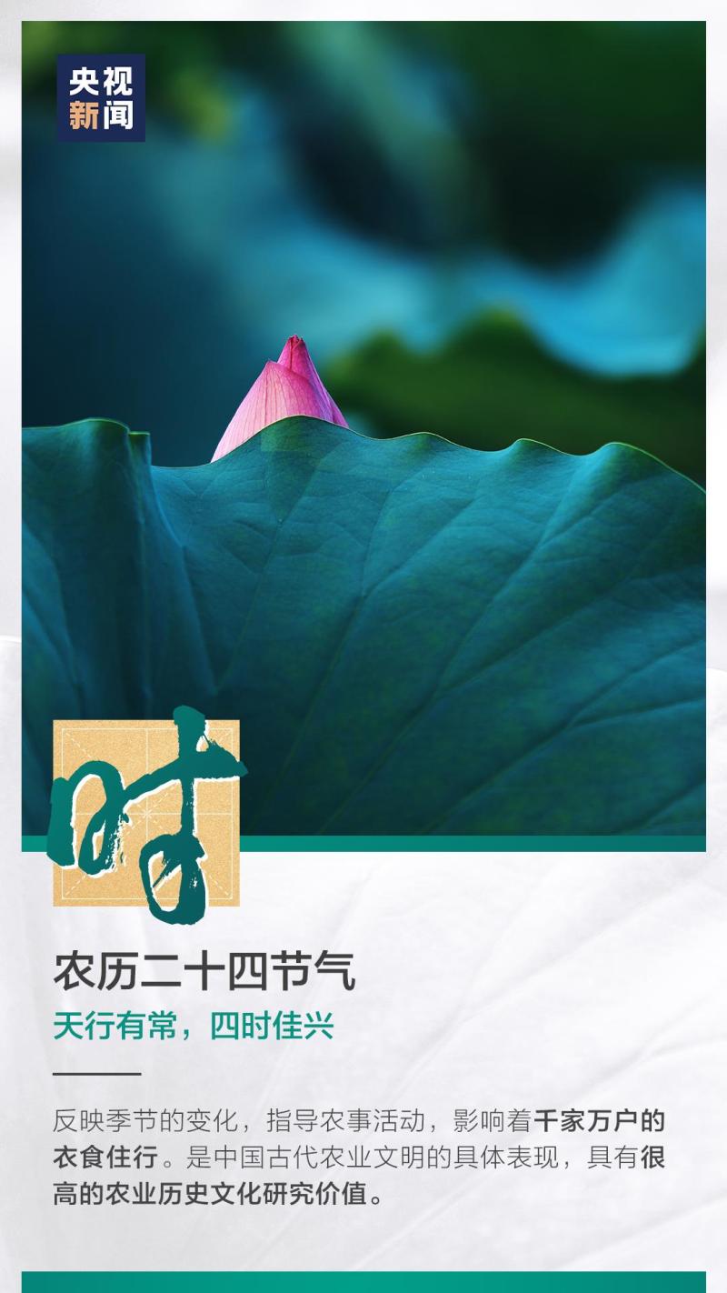 這也太浪漫了吧！