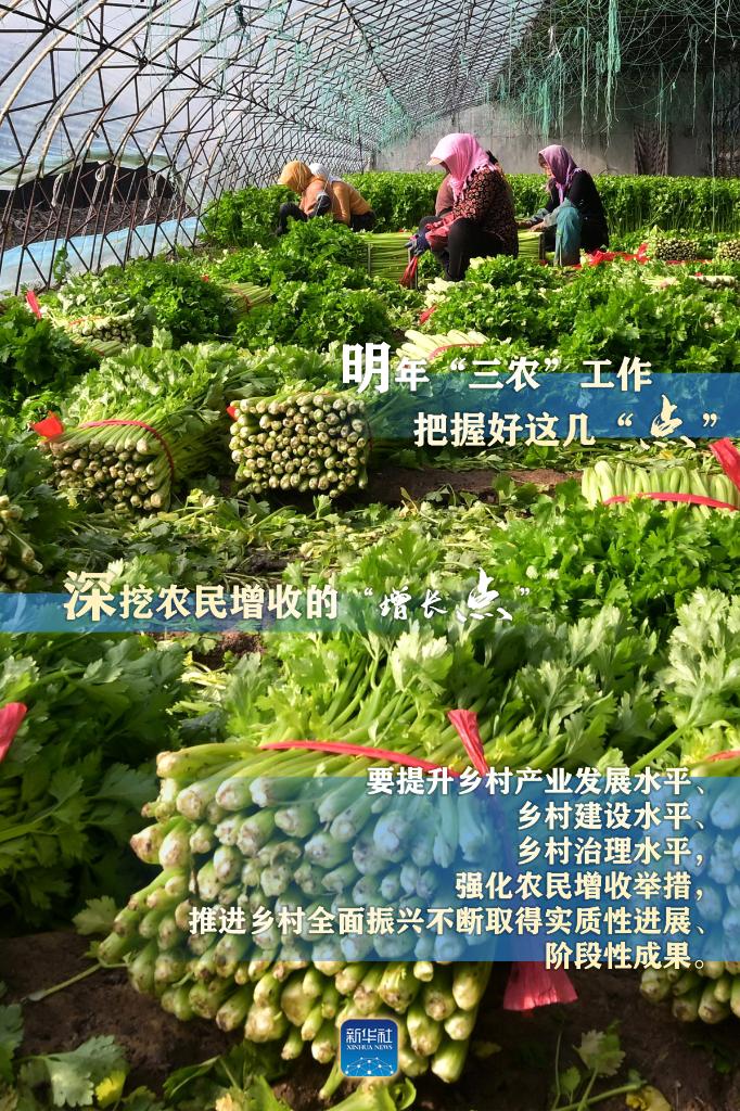 明年“三農(nóng)”工作，這幾個“點”要把握好