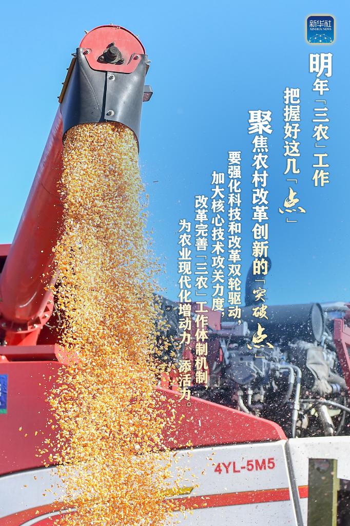 明年“三農(nóng)”工作，這幾個“點”要把握好