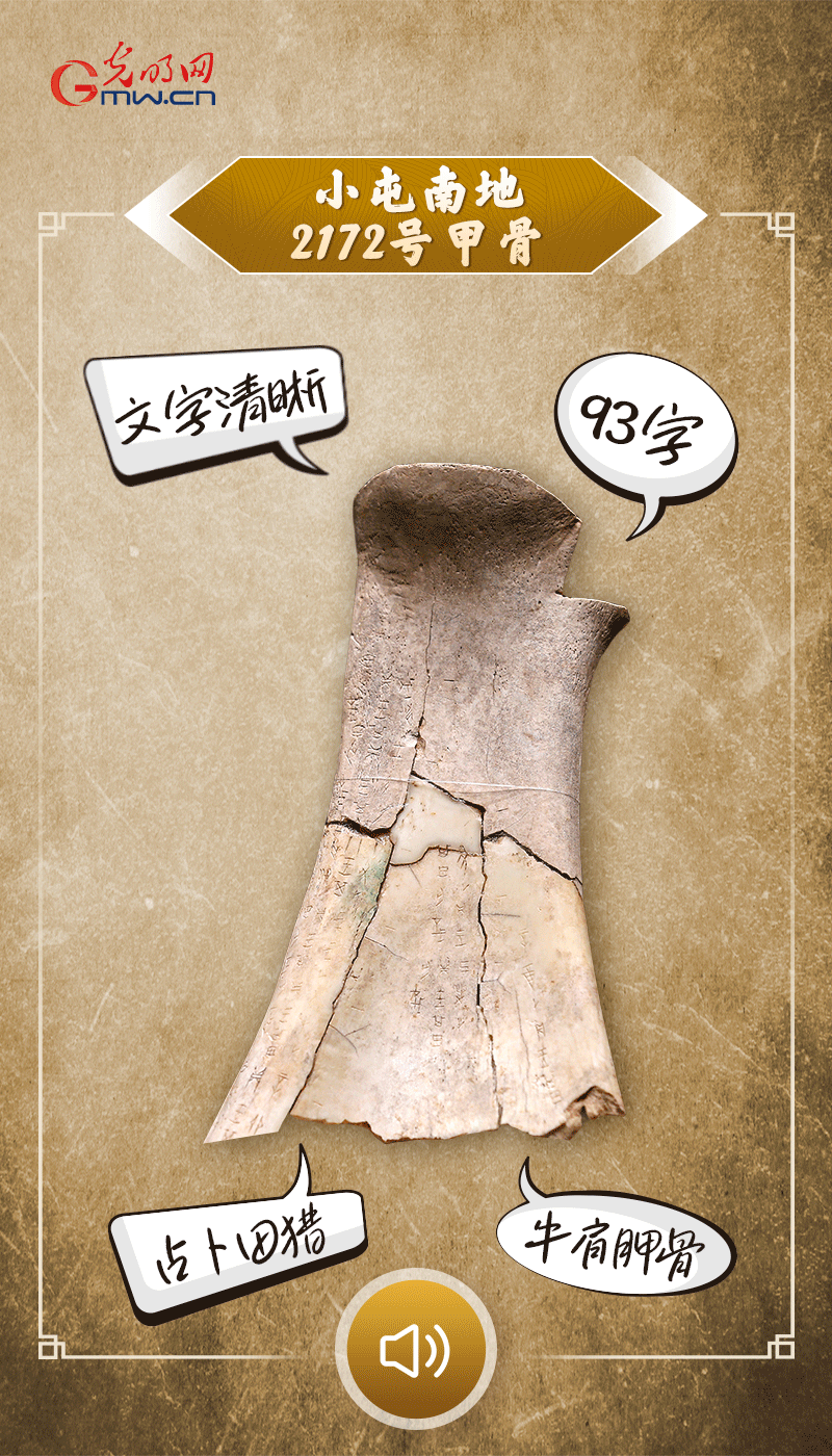 文物會說話 | 殷墟博物館新館開館啦，帶你奔赴“千年之約”