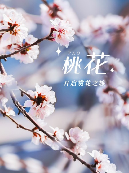 追花指南第三期！別等了 今天就去和桃花撞個滿懷