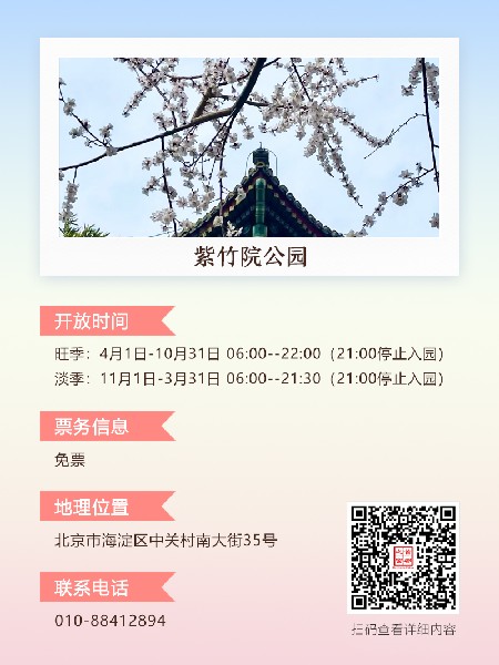 追花指南第三期！別等了 今天就去和桃花撞個滿懷