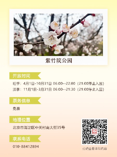 追花指南第六期！杏花雨 楊柳風(fēng) 北京最美的杏花在這里