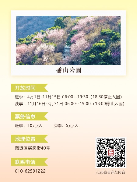 追花指南第六期！杏花雨 楊柳風(fēng) 北京最美的杏花在這里