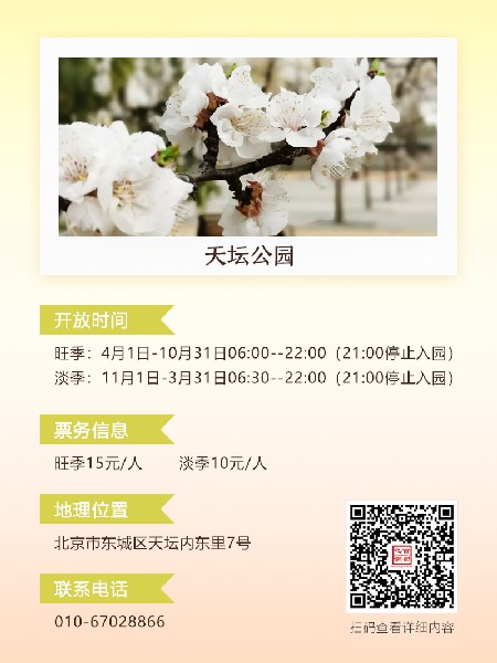 追花指南第六期！杏花雨 楊柳風(fēng) 北京最美的杏花在這里