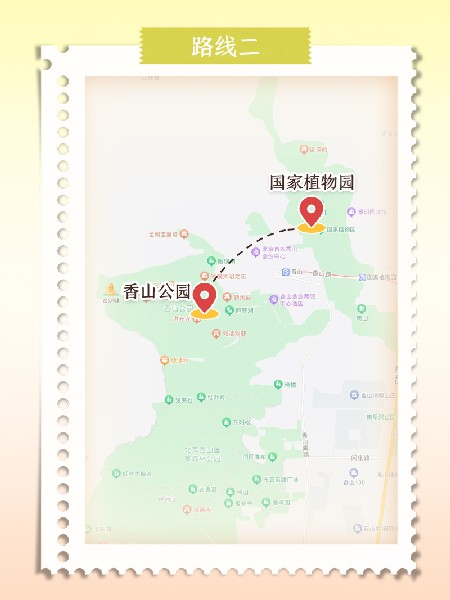 追花指南第六期！杏花雨 楊柳風(fēng) 北京最美的杏花在這里