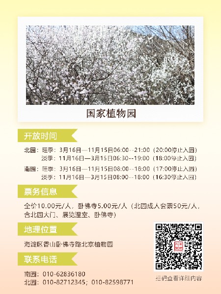 追花指南第六期！杏花雨 楊柳風(fēng) 北京最美的杏花在這里