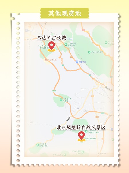 追花指南第六期！杏花雨 楊柳風(fēng) 北京最美的杏花在這里