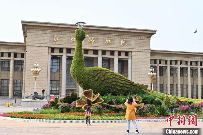 圖為游客在花壇前拍照打卡?！〉杂鸺?攝