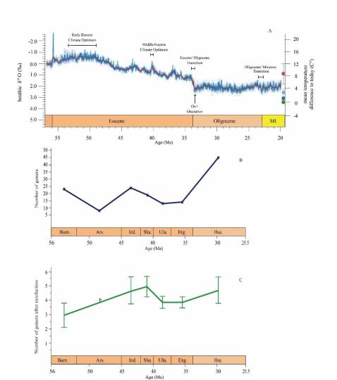 早始新世至早漸新世東亞嚙齒類屬級多樣性變化。　中科院古脊椎所 供圖