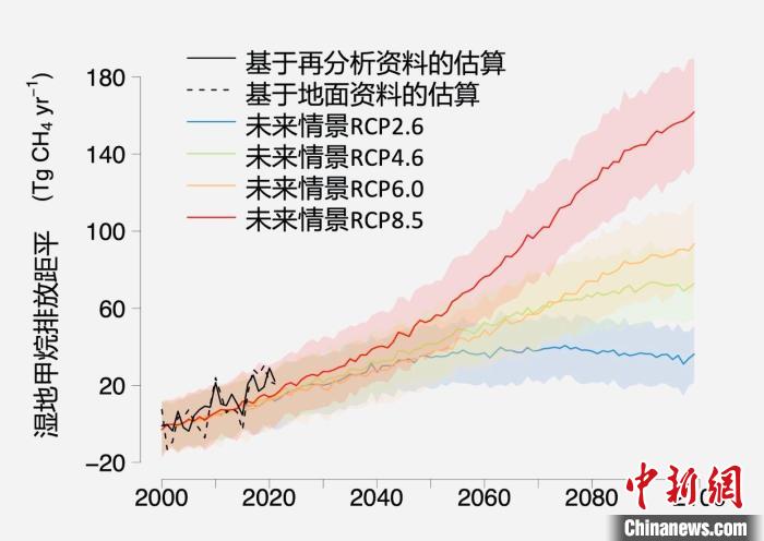 基于觀測的濕地甲烷排放變化與未來氣候變化情景下估算的對比?！≈锌圃呵嗖馗咴?供圖