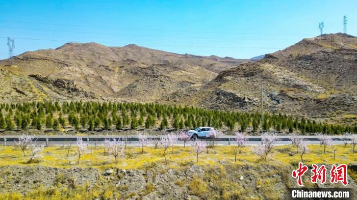 生態(tài)修復(fù)后逐漸變綠的賀蘭山石嘴山段?！∈焐绞形麄鞑抗﹫D