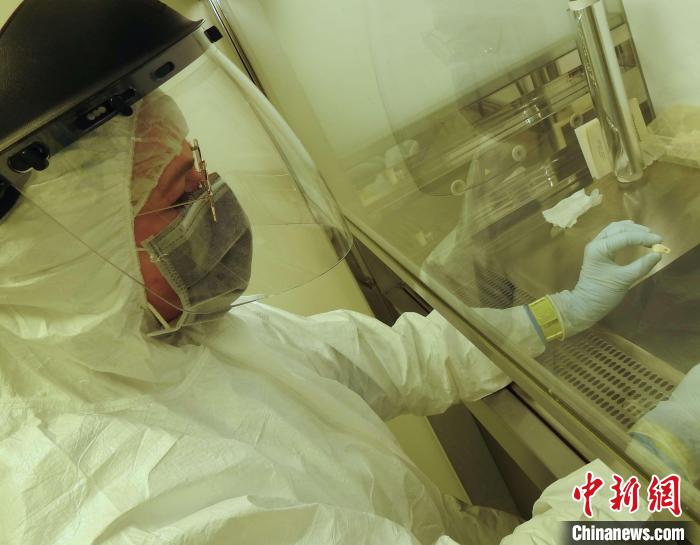 Elena Essel在凈室中處理鹿牙墜飾(圖片來自馬克斯·普朗克演化人類學(xué)研究所)。　施普林格·自然 供圖