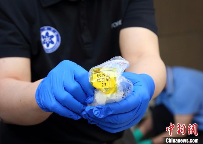 隨神舟十五號(hào)返回地面的空間科學(xué)實(shí)驗(yàn)樣品?！≈锌圃嚎臻g應(yīng)用中心 供圖