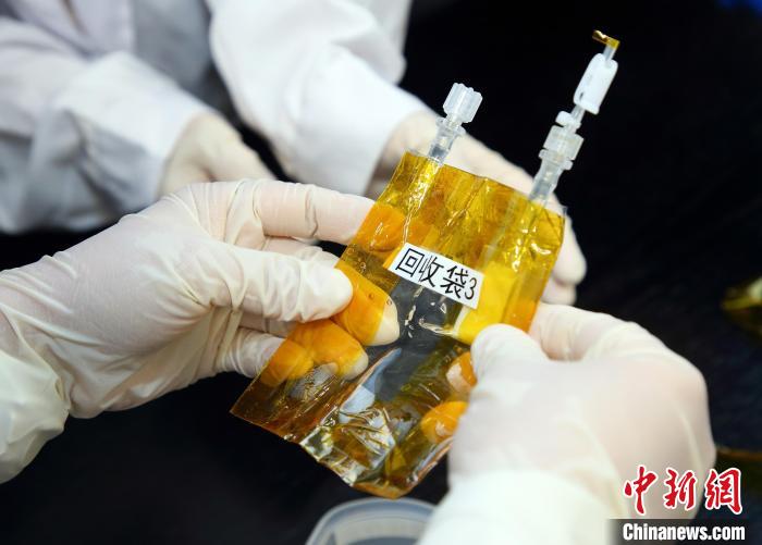 隨神舟十五號(hào)返回地面的空間科學(xué)實(shí)驗(yàn)樣品?！≈锌圃嚎臻g應(yīng)用中心 供圖