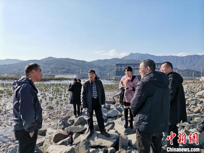 浙江海洋生態(tài)觀察：智慧大腦如何解鎖藍色發(fā)展密碼？