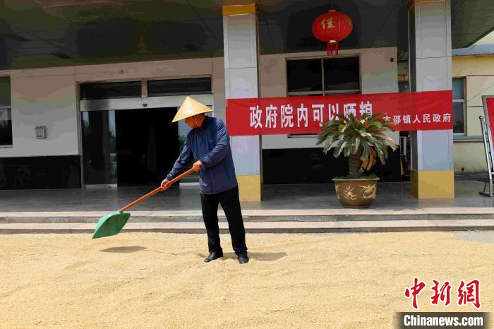 村民在棗莊市嶧城區(qū)古邵鎮(zhèn)政府大院內(nèi)晾曬糧食?！『?　攝