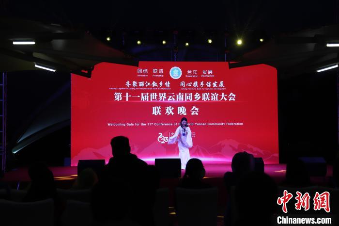 圖為第十一屆世界云南同鄉(xiāng)聯(lián)誼大會舉辦聯(lián)歡晚會。　崔永江 攝