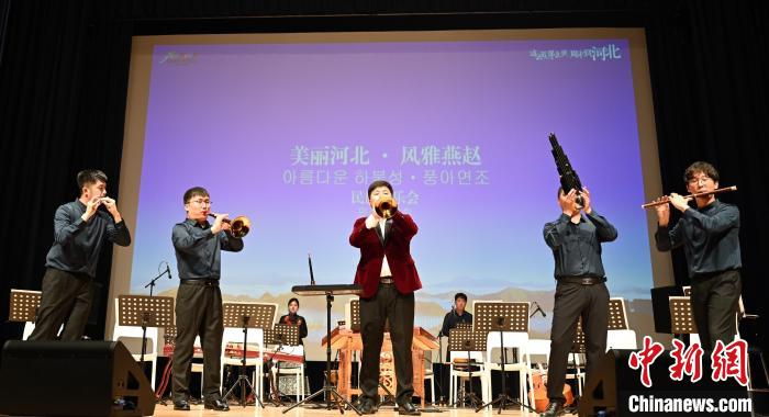 圖為音樂(lè)會(huì)現(xiàn)場(chǎng)?！∈谞栔袊?guó)文化中心供圖