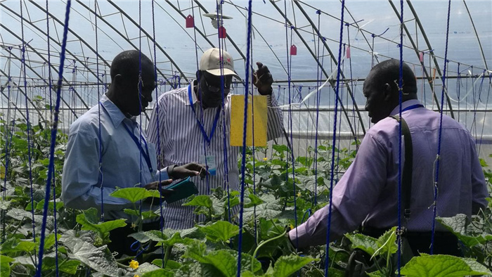 孫釗向當?shù)剞r(nóng)戶講解粘蟲板工作原理。受訪者供圖