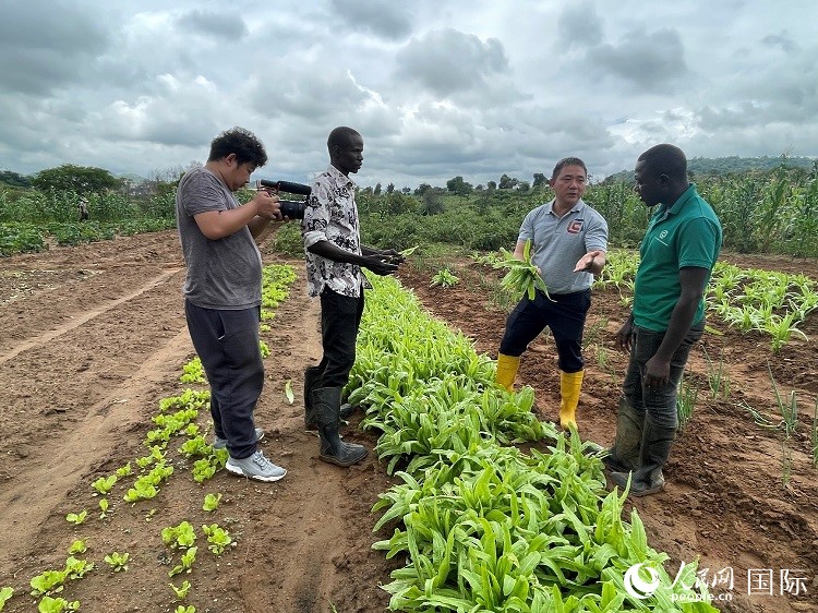 人民網(wǎng)記者走進尼日利亞農(nóng)業(yè)技術(shù)示范中心。人民網(wǎng)記者 趙艷紅攝