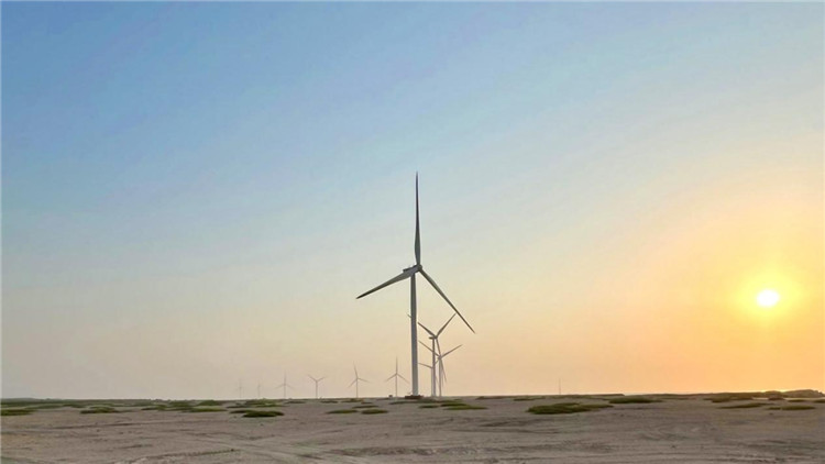 圖為阿聯(lián)酋風(fēng)電示范項(xiàng)目在阿布扎比薩爾巴尼亞斯島上的風(fēng)電場。 中國電建供圖