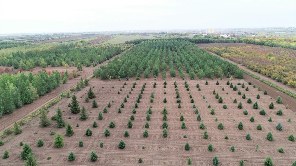 這是2023年9月11日在哈薩克斯坦首都阿斯塔納拍攝的一處植物種質(zhì)資源苗圃（無(wú)人機(jī)照片）。新華社發(fā)（法爾哈特·圖克諾夫 攝）