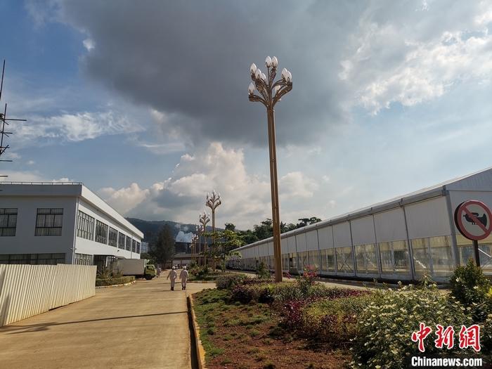 圖為園區(qū)生活區(qū)。 受訪者供圖