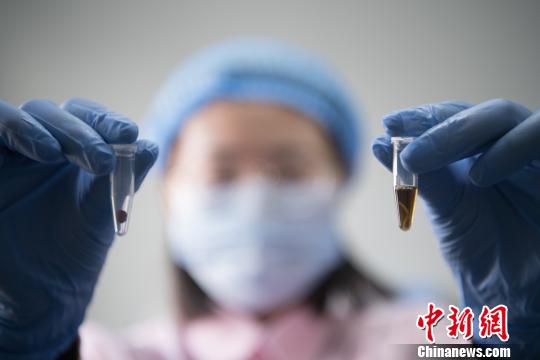 資料圖。韋亮 攝