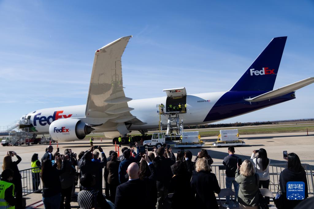 11月8日，在美國弗吉尼亞州的華盛頓杜勒斯國際機場，裝有大熊貓的特制“旅行包廂”準備運上專機。新華社記者劉杰攝