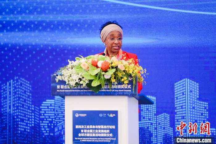 聯合國工業(yè)發(fā)展組織總干事代表兼執(zhí)行干事法圖 海達拉致辭。