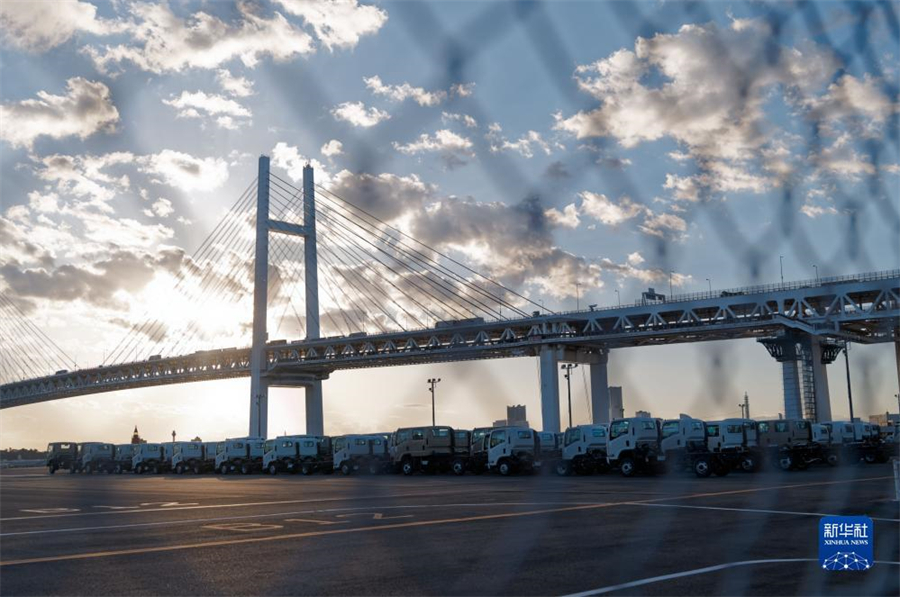 這是11月14日在日本橫濱拍攝的進出口汽車集散場地。新華社記者 張笑宇 攝