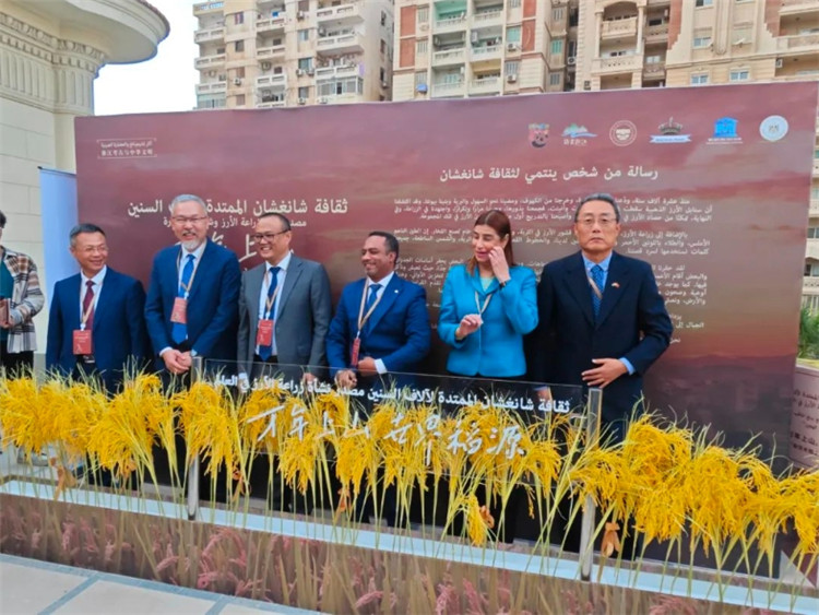 圖為現(xiàn)場嘉賓為特展啟幕。開羅中國文化中心供圖