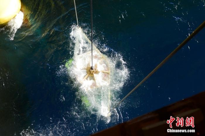 機器人入水瞬間。<a target='_blank' href='/' _fcksavedurl='/' ><p  align=