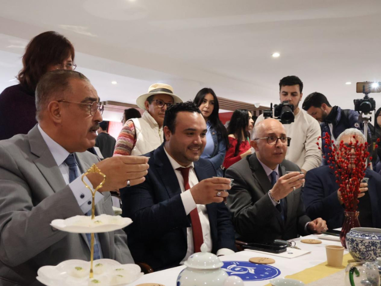 觀眾興致勃勃地體驗(yàn)茶藝。陳芷珊攝