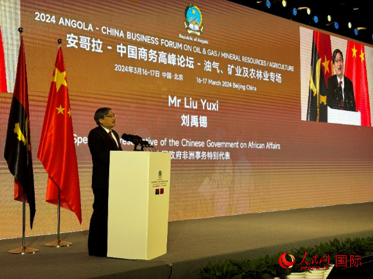 中國(guó)政府非洲事務(wù)特別代表劉禹錫。人民網(wǎng)記者 張榮攝