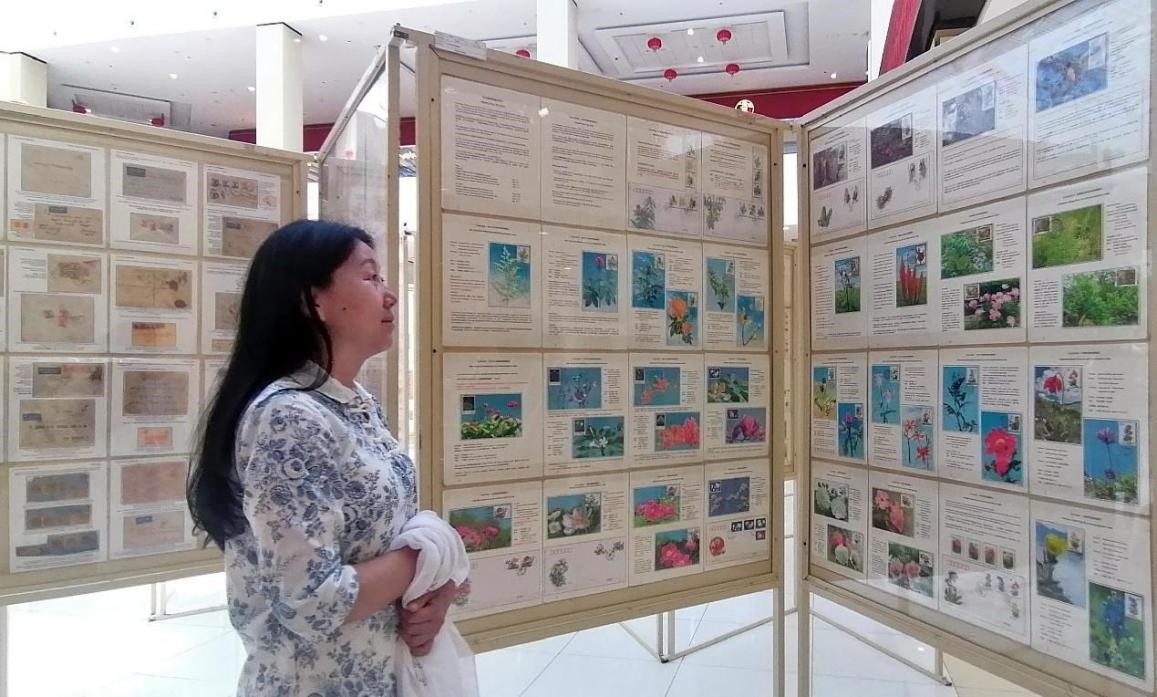 藥用植物極限片展覽場景。第七屆阿聯(lián)酋集郵展主辦方供圖