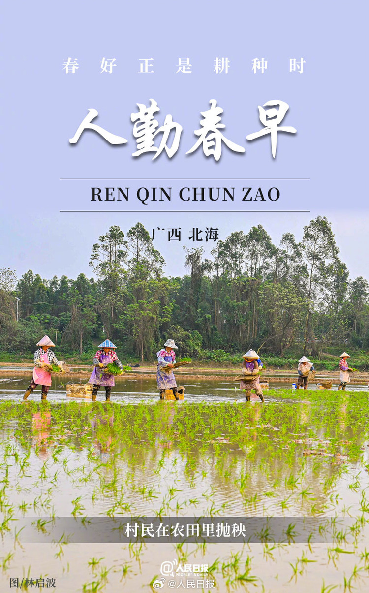 生機(jī)盎然！用課本封面打開(kāi)春耕畫卷