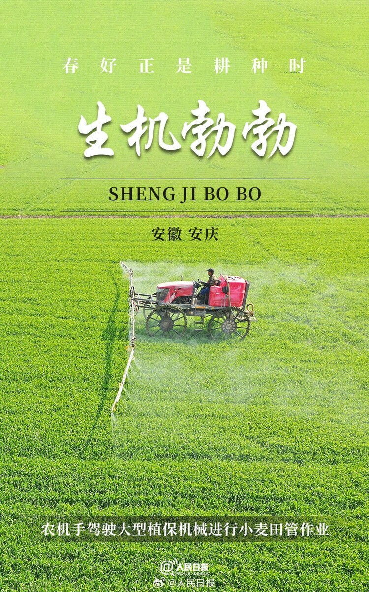 生機(jī)盎然！用課本封面打開(kāi)春耕畫卷