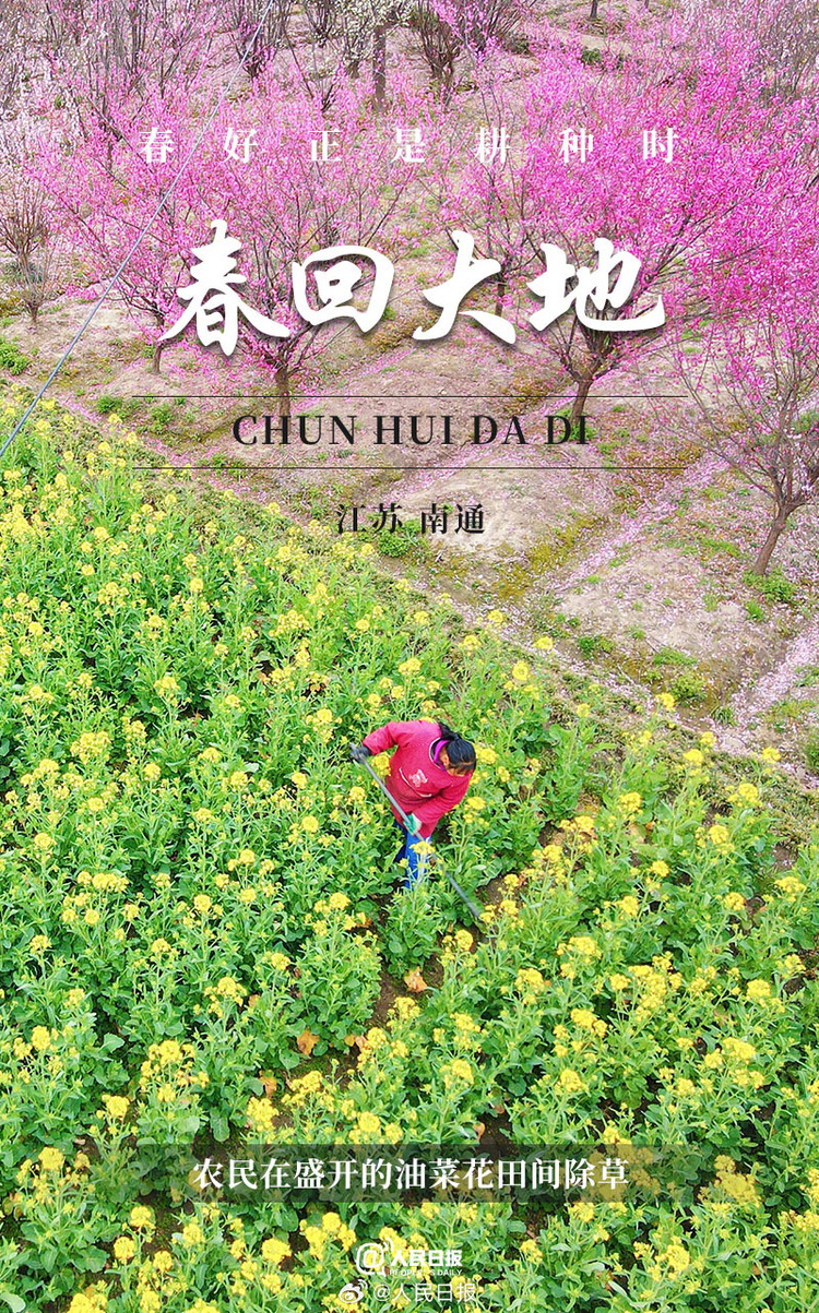 生機(jī)盎然！用課本封面打開(kāi)春耕畫卷