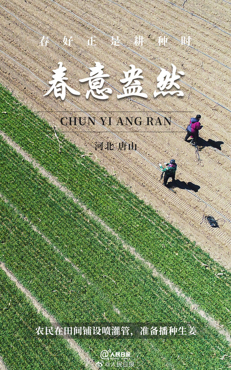 生機(jī)盎然！用課本封面打開(kāi)春耕畫卷