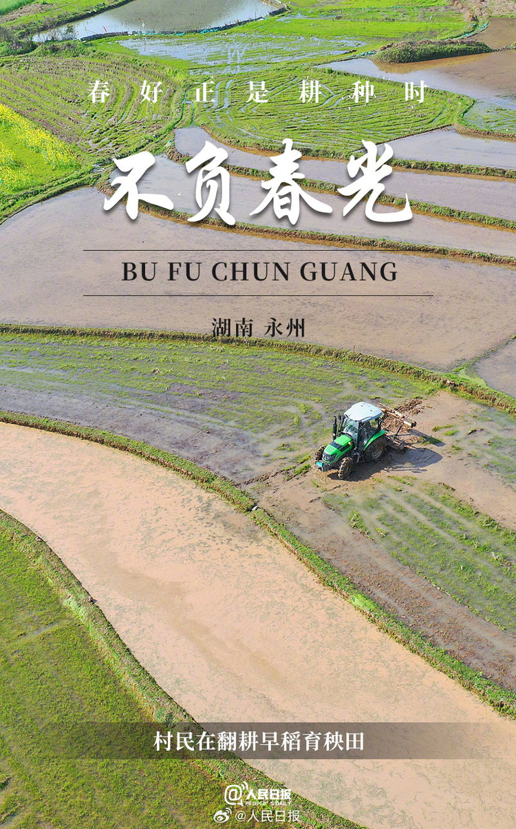 生機(jī)盎然！用課本封面打開(kāi)春耕畫卷