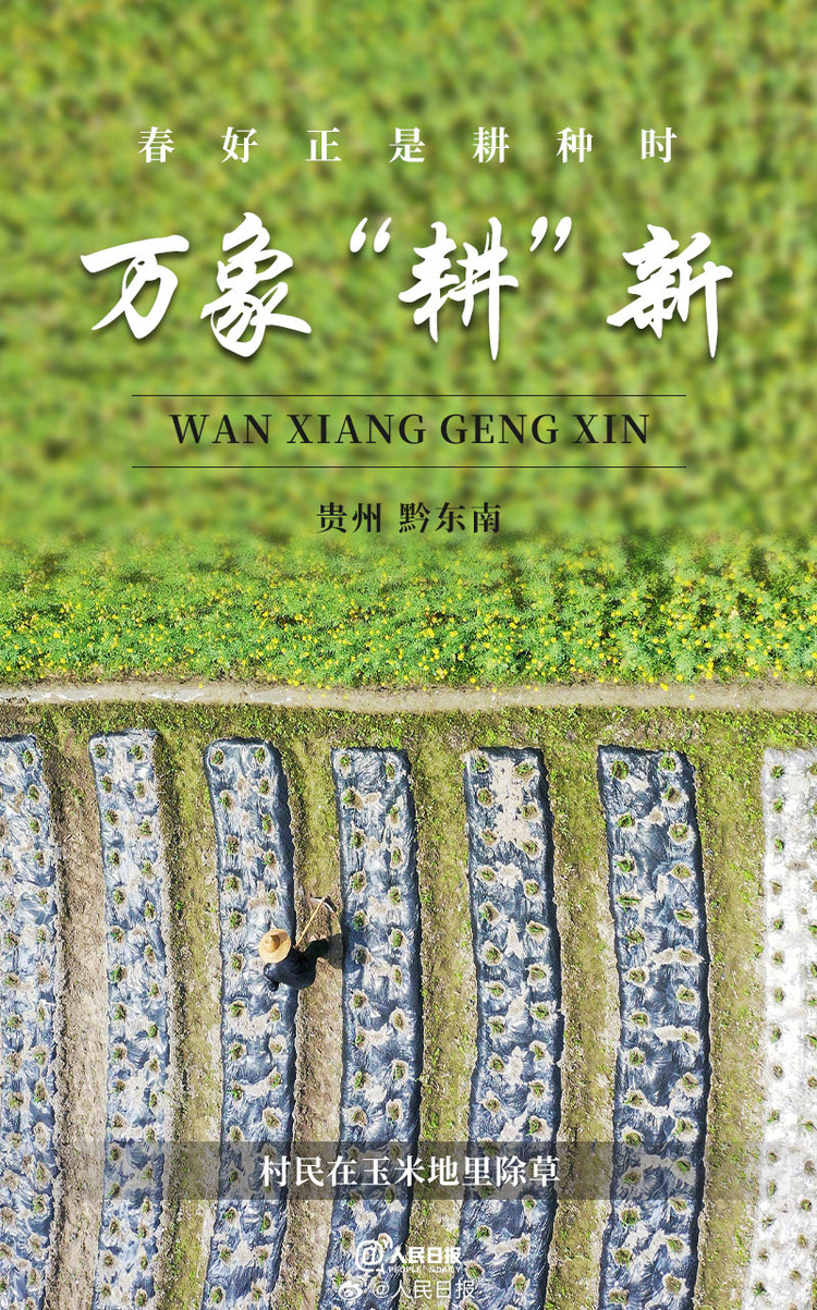 生機(jī)盎然！用課本封面打開(kāi)春耕畫卷