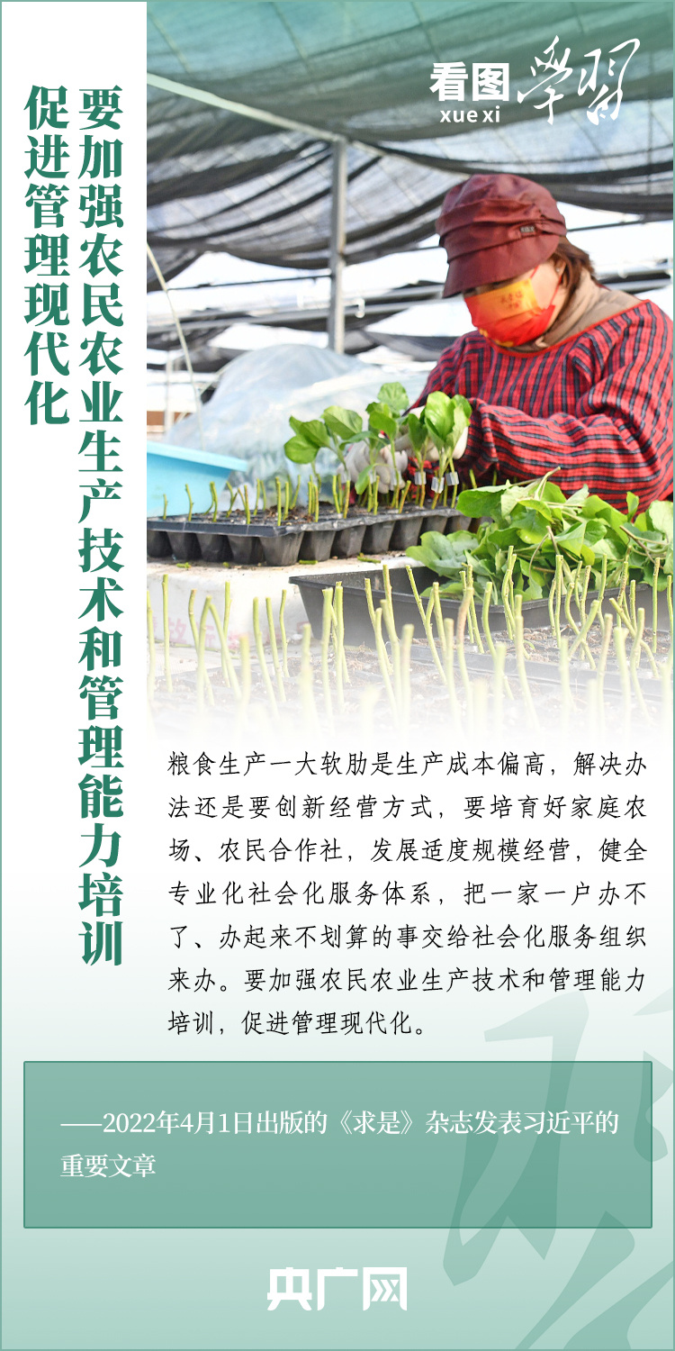 看圖學(xué)習(xí)丨推廣良田、良種、良法、良機(jī) 給農(nóng)業(yè)現(xiàn)代化插上科技的翅膀