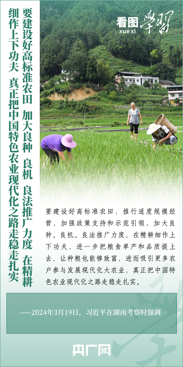 看圖學(xué)習(xí)丨推廣良田、良種、良法、良機(jī) 給農(nóng)業(yè)現(xiàn)代化插上科技的翅膀