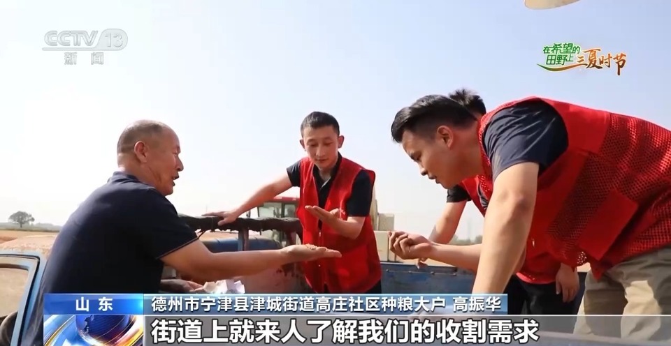 “三夏”生產(chǎn)思維導(dǎo)圖安排上了！還有政府大院等你來(lái)“曬”