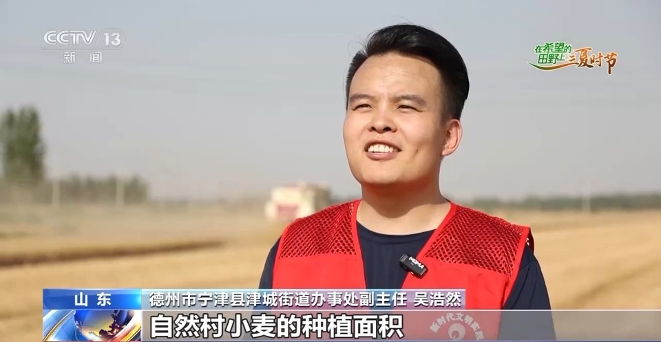 “三夏”生產(chǎn)思維導(dǎo)圖安排上了！還有政府大院等你來(lái)“曬”