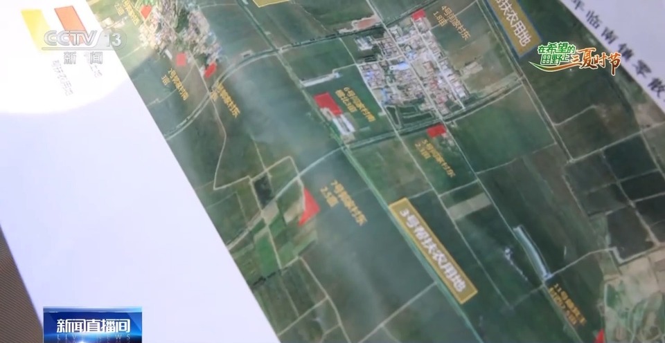 “三夏”生產(chǎn)思維導(dǎo)圖安排上了！還有政府大院等你來(lái)“曬”