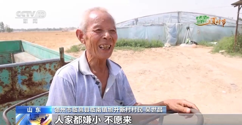 “三夏”生產(chǎn)思維導(dǎo)圖安排上了！還有政府大院等你來(lái)“曬”